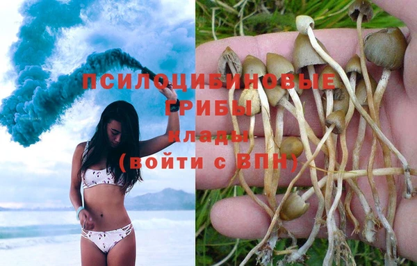 a pvp Инта