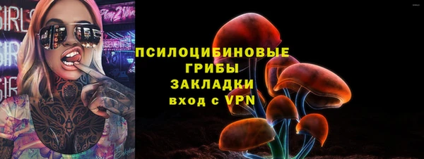 2c-b Горно-Алтайск