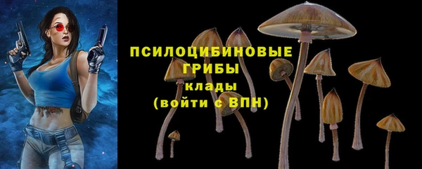 индика Шарыпово