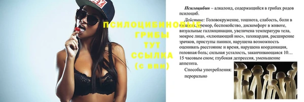 индика Шарыпово