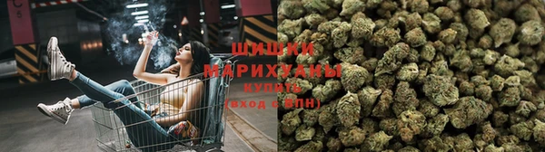 бошки Горняк