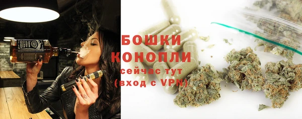 бошки Горняк