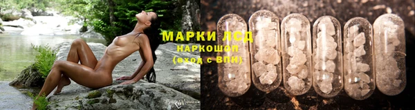 бошки Горняк