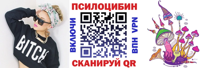 Псилоцибиновые грибы Cubensis  это наркотические препараты  Зубцов 